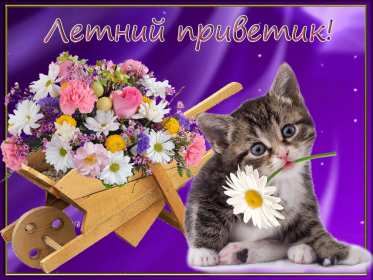 летний привет Открытка летний привет, летний приветик, с летним приветом . Открытка картинка летний привет, открытки картинки летний привет, приветик, красивые открытки летний привет, летние картинки привет, летний приветик скачать бесплатно