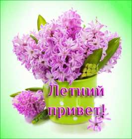 летний привет Открытка летний привет, летний приветик, с летним приветом . Открытка картинка летний привет, открытки картинки летний привет, приветик, красивые открытки летний привет, летние картинки привет, летний приветик скачать бесплатно