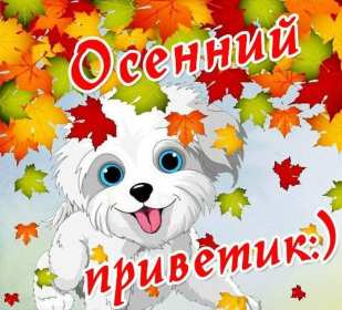 осенний привет Открытка осенний привет, с осенним приветом, привет осени . Открытка картинка осенний привет, открытки картинки осенний привет, приветик осенний, картинка открытка с осенним приветом, приветик осени, осенний скачать бесплатно