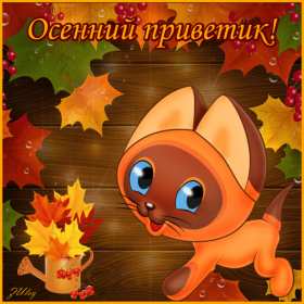 осенний привет Открытка осенний привет, с осенним приветом, привет осени . Открытка картинка осенний привет, открытки картинки осенний привет, приветик осенний, картинка открытка с осенним приветом, приветик осени, осенний скачать бесплатно