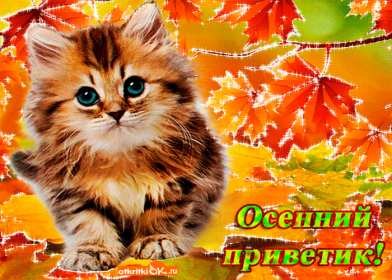 осенний привет Открытка осенний привет, с осенним приветом, привет осени . Открытка картинка осенний привет, открытки картинки осенний привет, приветик осенний, картинка открытка с осенним приветом, приветик осени, осенний скачать бесплатно