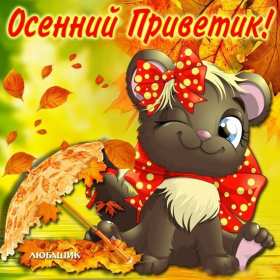 осенний привет Открытка осенний привет, с осенним приветом, привет осени . Открытка картинка осенний привет, открытки картинки осенний привет, приветик осенний, картинка открытка с осенним приветом, приветик осени, осенний скачать бесплатно