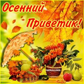 осенний привет Открытка осенний привет, с осенним приветом, привет осени . Открытка картинка осенний привет, открытки картинки осенний привет, приветик осенний, картинка открытка с осенним приветом, приветик осени, осенний скачать бесплатно