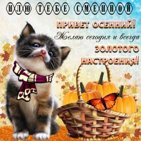 осенний привет Открытка осенний привет, с осенним приветом, привет осени . Открытка картинка осенний привет, открытки картинки осенний привет, приветик осенний, картинка открытка с осенним приветом, приветик осени, осенний скачать бесплатно