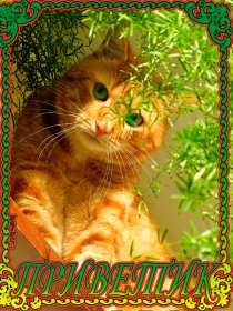 Привет Открытка привет, приветик, приветствие, картинка с надписью привет Открытка картинка привет, привет, открытки картинки привет, открытки картинки приветствие, приветик, привет, красивые, яркие, красочные открытки привет скачать бесплатно