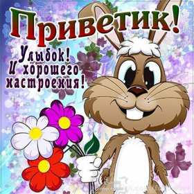 Привет Открытка привет, приветик, приветствие, картинка с надписью привет Открытка картинка привет, привет, открытки картинки привет, открытки картинки приветствие, приветик, привет, красивые, яркие, красочные открытки привет скачать бесплатно