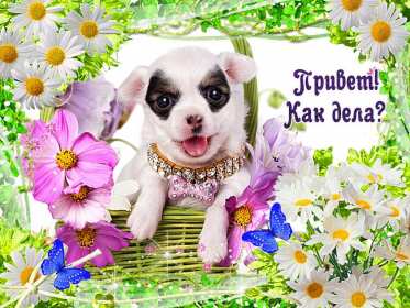 Привет Открытка привет, приветик, приветствие, картинка с надписью привет Открытка картинка привет, привет, открытки картинки привет, открытки картинки приветствие, приветик, привет, красивые, яркие, красочные открытки привет скачать бесплатно