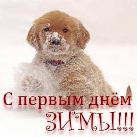 С первым днём зимы Открытка с первым днём зимы, с наступлением зимы поздравления Открытка картинка 1 декабря начало зимы, открытки картинки с первым днём зимы, поздравления с первым днём зимы, красивые картинки открытки с началом зимы скачать бесплатно