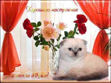 хорошего настроения Открытка с пожеланием хорошего настроения, классного настроения Открытка картинка хорошего, отличного настроения, открытки картинки хорошего, позитивного настроения, открытка пожелания хорошего настроения скачать бесплатно .