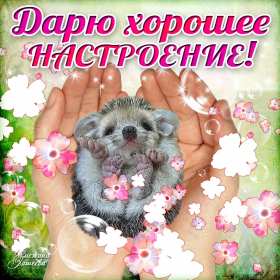 хорошего настроения Открытка с пожеланием хорошего настроения, классного настроения Открытка картинка хорошего, отличного настроения, открытки картинки хорошего, позитивного настроения, открытка пожелания хорошего настроения скачать бесплатно .