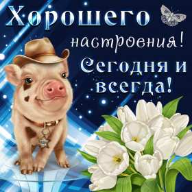 хорошего настроения Открытка с пожеланием хорошего настроения, классного настроения Открытка картинка хорошего, отличного настроения, открытки картинки хорошего, позитивного настроения, открытка пожелания хорошего настроения скачать бесплатно .