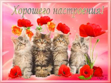 хорошего настроения Открытка с пожеланием хорошего настроения, классного настроения Открытка картинка хорошего, отличного настроения, открытки картинки хорошего, позитивного настроения, открытка пожелания хорошего настроения скачать бесплатно .