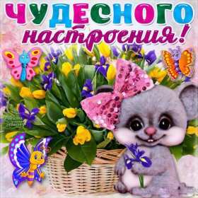 хорошего настроения Открытка с пожеланием хорошего настроения, классного настроения Открытка картинка хорошего, отличного настроения, открытки картинки хорошего, позитивного настроения, открытка пожелания хорошего настроения скачать бесплатно .