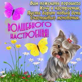 хорошего настроения Открытка с пожеланием хорошего настроения, классного настроения Открытка картинка хорошего, отличного настроения, открытки картинки хорошего, позитивного настроения, открытка пожелания хорошего настроения скачать бесплатно .