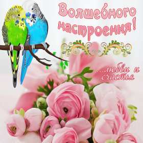 хорошего настроения Открытка с пожеланием хорошего настроения, классного настроения Открытка картинка хорошего, отличного настроения, открытки картинки хорошего, позитивного настроения, открытка пожелания хорошего настроения скачать бесплатно .