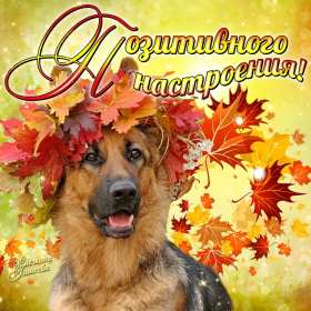 хорошего настроения Открытка с пожеланием хорошего настроения, классного настроения Открытка картинка хорошего, отличного настроения, открытки картинки хорошего, позитивного настроения, открытка пожелания хорошего настроения скачать бесплатно .