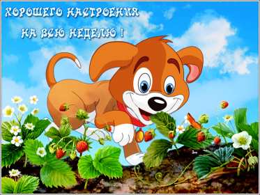 хорошего настроения Открытка с пожеланием хорошего настроения, классного настроения Открытка картинка хорошего, отличного настроения, открытки картинки хорошего, позитивного настроения, открытка пожелания хорошего настроения скачать бесплатно .