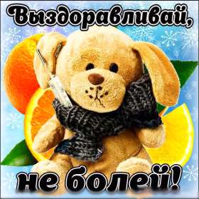 Выздоравливай Открытка с пожеланиями скорейшего выздоровления, поправляйся Открытка картинка выздоравливай, открытки картинки пожелания выздоровления, поправляйся скорее не болей открытки, картинка выздоравливай не болей скачать бесплатно