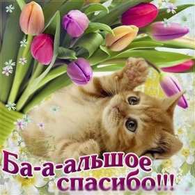 Спасибо Открытка спасибо, с надписью спасибо, благодарю, большое спасибо Открытка картинка спасибо, открытки картинки спасибо, с надписью спасибо на открытке, красивая открытка картинка с надписью спасибо, благодарю скачать бесплатно