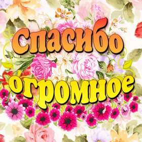 Спасибо Открытка спасибо, с надписью спасибо, благодарю, большое спасибо Открытка картинка спасибо, открытки картинки спасибо, с надписью спасибо на открытке, красивая открытка картинка с надписью спасибо, благодарю скачать бесплатно