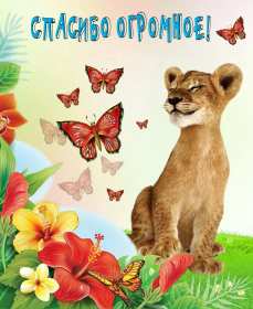 Спасибо Открытка спасибо, с надписью спасибо, благодарю, большое спасибо Открытка картинка спасибо, открытки картинки спасибо, с надписью спасибо на открытке, красивая открытка картинка с надписью спасибо, благодарю скачать бесплатно