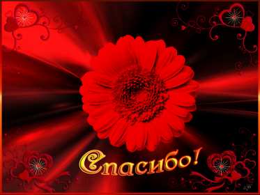 Спасибо Открытка спасибо, спасибо большое, я тебя благодарю спасибо . Картинки открытки с надписью спасибо на открытке, открытка картинка яркая спасибо, огромное спасибо, выражаю благодарность спасибо, открытка красивая спасибо .