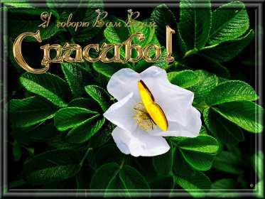 Спасибо Открытка спасибо, спасибо большое, я тебя благодарю спасибо . Картинки открытки с надписью спасибо на открытке, открытка картинка яркая спасибо, огромное спасибо, выражаю благодарность спасибо, открытка красивая спасибо .