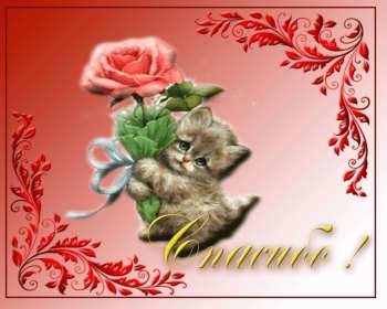 Спасибо Открытка спасибо, спасибо большое, я тебя благодарю спасибо . Картинки открытки с надписью спасибо на открытке, открытка картинка яркая спасибо, огромное спасибо, выражаю благодарность спасибо, открытка красивая спасибо .