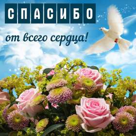 Спасибо Открытка спасибо, спасибо большое, я тебя благодарю спасибо . Картинки открытки с надписью спасибо на открытке, открытка картинка яркая спасибо, огромное спасибо, выражаю благодарность спасибо, открытка красивая спасибо .