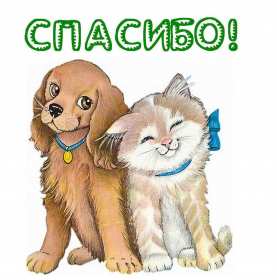 Спасибо Открытка спасибо, спасибо большое, я тебя благодарю спасибо . Картинки открытки с надписью спасибо на открытке, открытка картинка яркая спасибо, огромное спасибо, выражаю благодарность спасибо, открытка красивая спасибо .