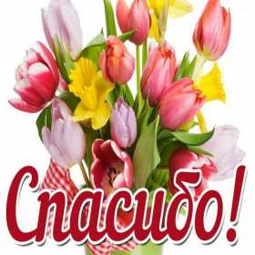 Спасибо Открытка спасибо, спасибо большое, я тебя благодарю спасибо . Картинки открытки с надписью спасибо на открытке, открытка картинка яркая спасибо, огромное спасибо, выражаю благодарность спасибо, открытка красивая спасибо .