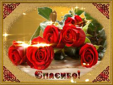 Спасибо Открытка спасибо, спасибо большое, я тебя благодарю спасибо . Картинки открытки с надписью спасибо на открытке, открытка картинка яркая спасибо, огромное спасибо, выражаю благодарность спасибо, открытка красивая спасибо .