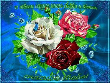 Спасибо Открытка спасибо, спасибо большое, я тебя благодарю спасибо . Картинки открытки с надписью спасибо на открытке, открытка картинка яркая спасибо, огромное спасибо, выражаю благодарность спасибо, открытка красивая спасибо .