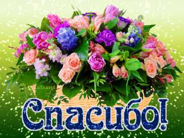 Спасибо Открытка спасибо, спасибо большое, я тебя благодарю спасибо . Картинки открытки с надписью спасибо на открытке, открытка картинка яркая спасибо, огромное спасибо, выражаю благодарность спасибо, открытка красивая спасибо .