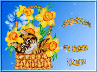 Спасибо Открытка спасибо, спасибо большое, я тебя благодарю спасибо . Картинки открытки с надписью спасибо на открытке, открытка картинка яркая спасибо, огромное спасибо, выражаю благодарность спасибо, открытка красивая спасибо .