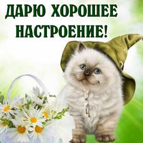 хорошего настроения Открытка хорошего настроения, пожелания хорошего настроения . Картинка открытка хорошего настроения, картинки открытки хорошего настроения, отличного настроения, красивая открытка с пожеланиями хорошего настроения скачать бесплатно