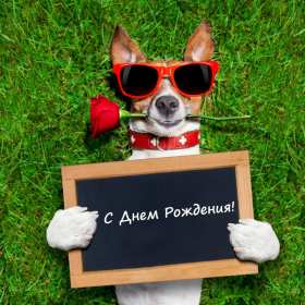 Открытки с днём рождения прикольные Открытка прикольная с днём рождения, прикольные, смешные поздравления Открытки открытка картинки картинка прикольные, прикольная с днём рождения, смешные открытки на день рождения, открытка картинка прикол, прикольная с днём рождения, скачать