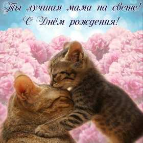 Открытки с днём рождения маме Открытка с днём рождения мама, поздравления для мамы на день рождения Открытки картинки открытка картинка с поздравлениями на день рождения для мамы, открытка картинка с днём рождения мама, красивые открытки для мамы в день рождения, скачать