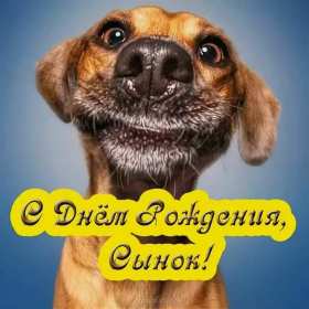 Открытки с днём рождения сын Открытка с днём рождения сын сынок, поздравления для сына на день рождения Открытка картинка открытки картинки с поздравлениями для сына на день рождения, с днём рождения сын, поздравляю с днём рождения сын, открытка картинка на день рождения сына скачать бесплатно