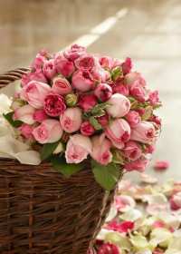 Открытки с днём рождения Открытка яркая на день рождения, красивые поздравления с днём рождения Открытка открытки картинка картинки с поздравлениями на день рождения, яркие красивые открытки картинки с днём рождения, на день рождения, поздравления скачать бесплатно