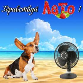 С первым днём лета Открытка 1 июня первый день лета, с наступлением лета яркие поздравления Картинка открытка с первым днём лета, картинки открытки яркие красивые с началом лета 1 июня, первый день лета поздравления, открытка начало лета скачать бесплатно