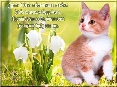С днём подснежника Открытка день подснежника, на день подснежника поздравления . Картинка открытка картинки открытки на день подснежника, с днём подснежника 19 апреля, поздравляю с днём подснежника, красивая весенняя открытка картинка день подснежника