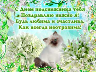 С днём подснежника Открытка день подснежника, на день подснежника поздравления . Картинка открытка картинки открытки на день подснежника, с днём подснежника 19 апреля, поздравляю с днём подснежника, красивая весенняя открытка картинка день подснежника