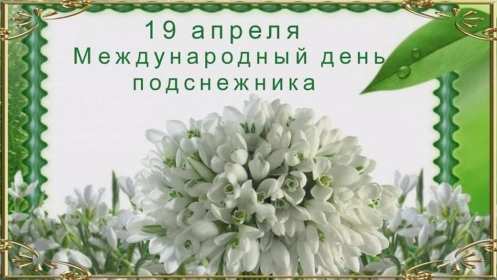 С днём подснежника Открытка день подснежника, на день подснежника поздравления . Картинка открытка картинки открытки на день подснежника, с днём подснежника 19 апреля, поздравляю с днём подснежника, красивая весенняя открытка картинка день подснежника