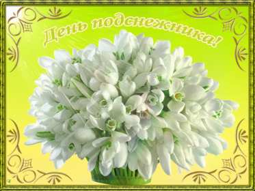 С днём подснежника Открытка день подснежника, на день подснежника поздравления . Картинка открытка картинки открытки на день подснежника, с днём подснежника 19 апреля, поздравляю с днём подснежника, красивая весенняя открытка картинка день подснежника