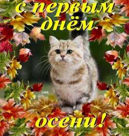 С первым днём осени Открытка первый день осени 1 сентября, поздравления с наступлением осени Открытки картинки с началом осени, первый день осени 1 сентября, поздравляю с осенью, яркие осенние картинки открытки с первым днём осени скачать бесплатно .