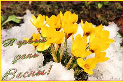С первым днём весны Открытка поздравления первый день весны, с первым днём весны Открытка картинка 1 марта первый день весны, открытки картинки с первым днём весны, поздравляю с первым днём весны красивые картинки открытки скачать бесплатно