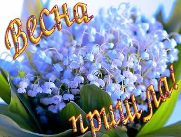 С первым днём весны Открытка поздравления первый день весны, с первым днём весны Открытка картинка 1 марта первый день весны, открытки картинки с первым днём весны, поздравляю с первым днём весны красивые картинки открытки скачать бесплатно