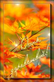 С первым днём осени Открытка с первым днём осень, с наступлением осени, 1 сентября Открытка картинка с началом осени, осенние картинки открытки с первым днём осени, здравствуй осень 1 сентября, красивые картинки открытки с осенью скачать бесплатно