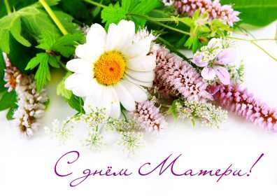 День матери Открытка с праздником день матери, поздравления на день матери. Картинка открытка с праздником день матери, мамы, с днём матери, картинки открытки на день матери, с днём матери, поздравления с днём матери, картинка день матери